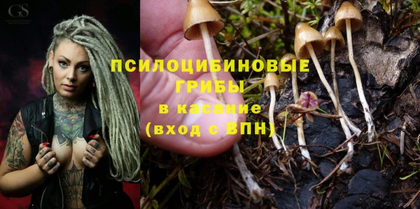 альфа пвп Нязепетровск