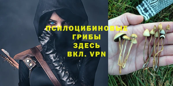 твердый Няндома